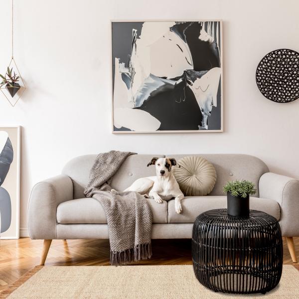 Hund på grå sofa med lys naturtæppe i moderne interiør.